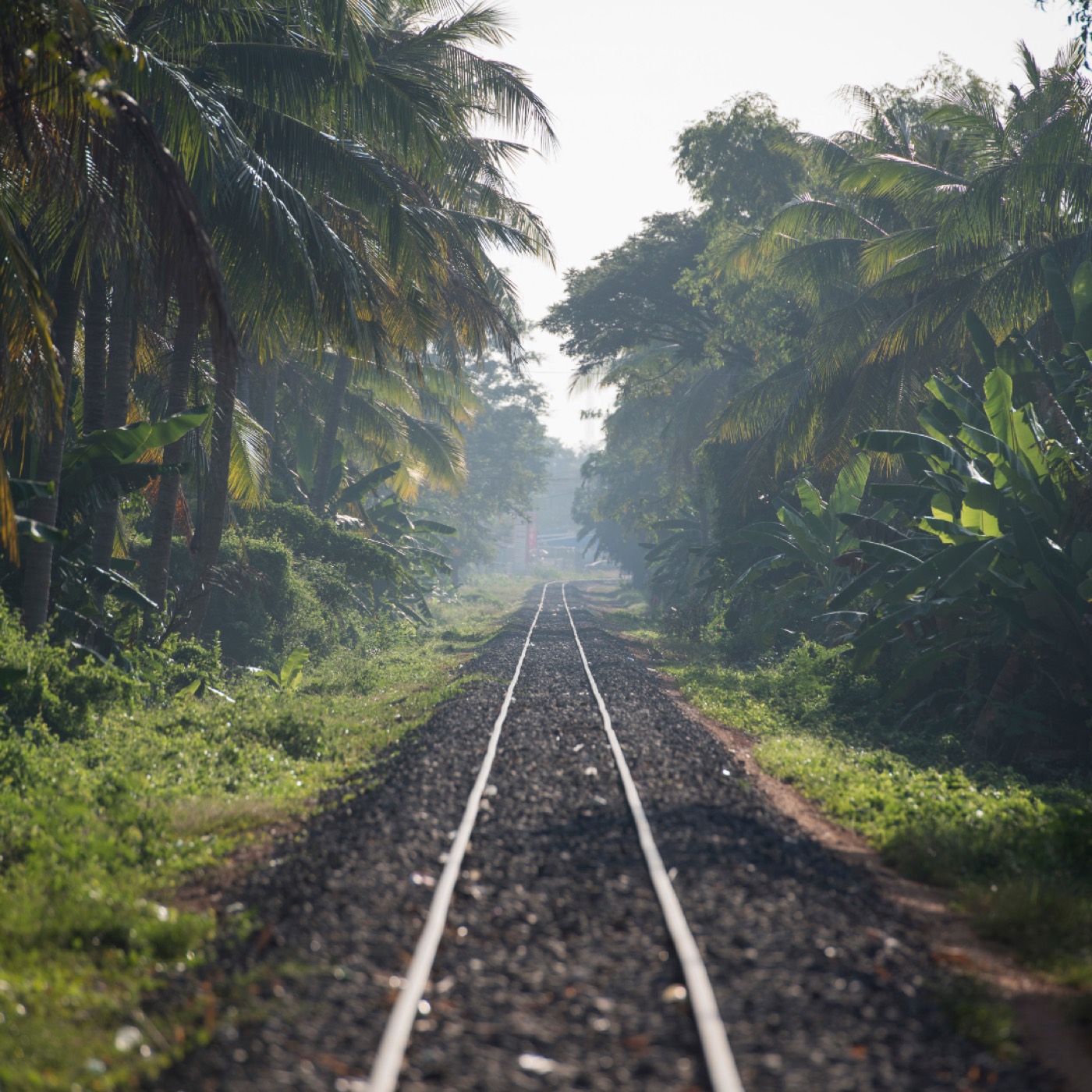 Bamboo train